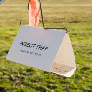 Insect Trapping