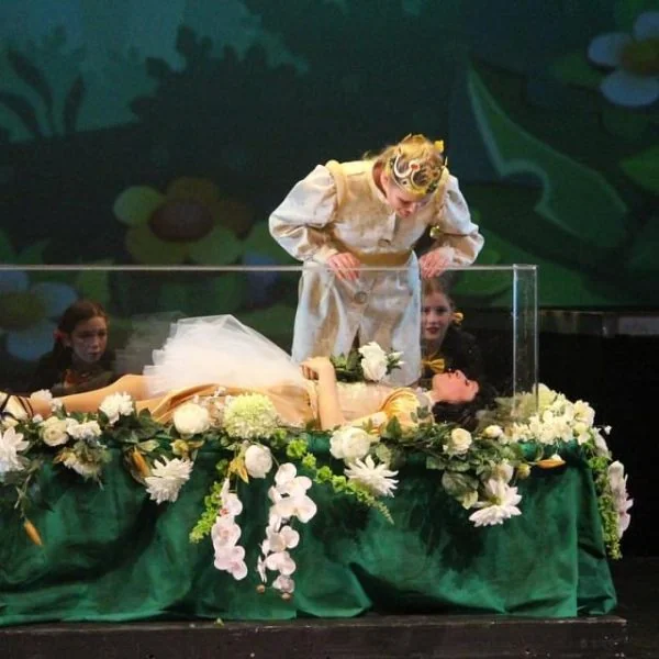 Acrylic coffin stage prop
